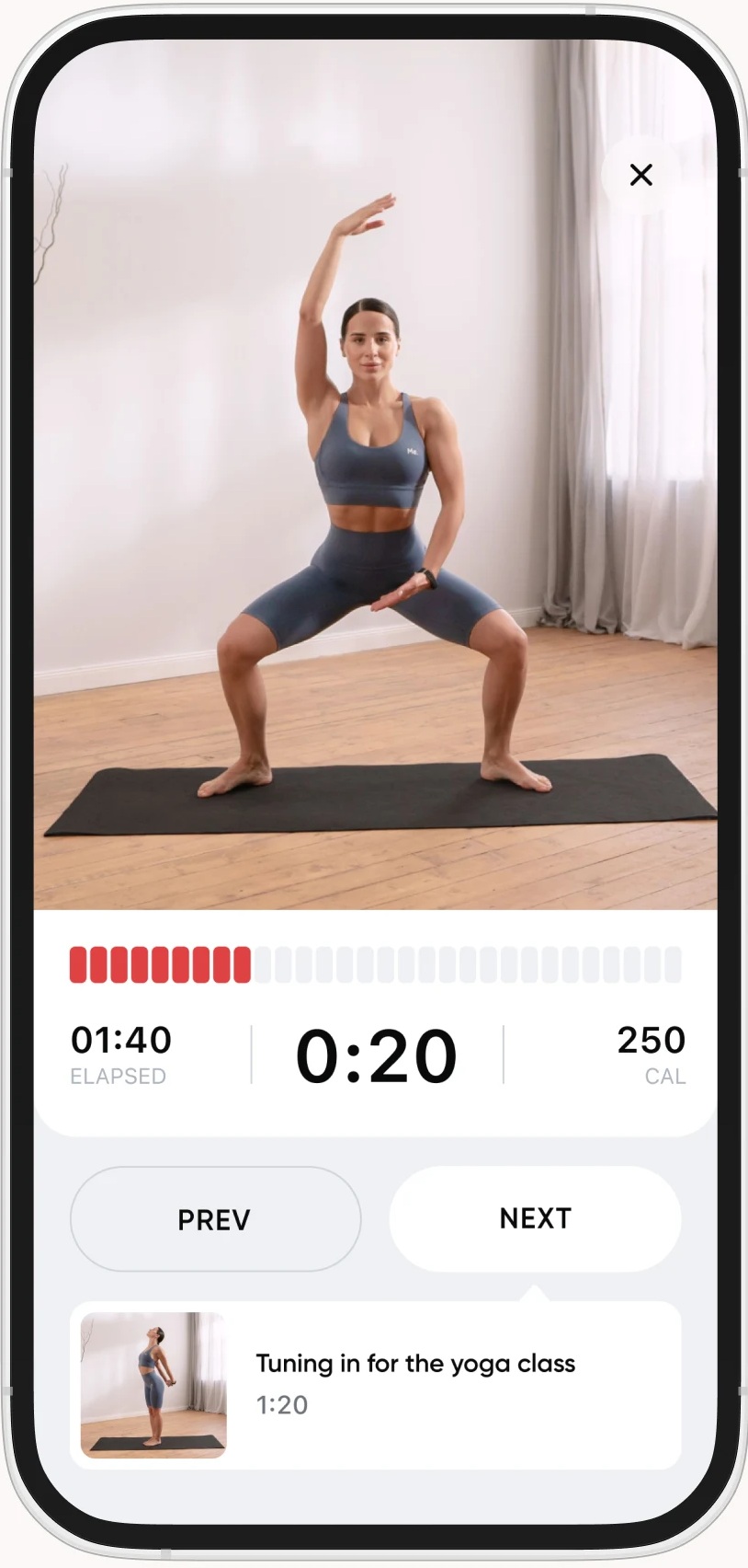 Fitness & Wellness Tracking